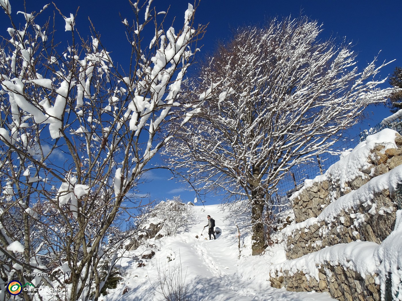 38 Dopo un bel po' di salita siamo in vista del nuovo Rif. Monte Suchello.JPG